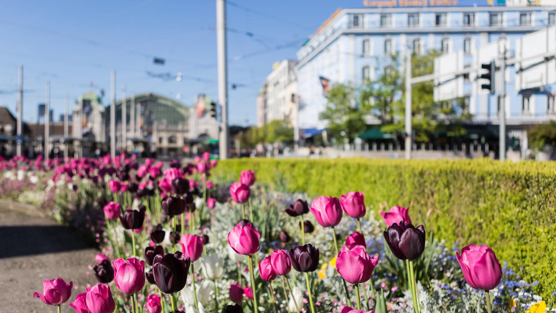 Hotel Euler Basel Suisse